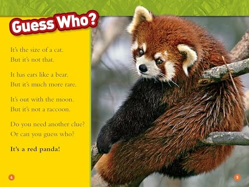 Red panda on a tree with a guessing game description.