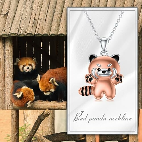 Red pandas in a shelter with a red panda necklace advertisement.